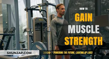 Effective Strategies to Build Muscle Strength and Enhance Fitness