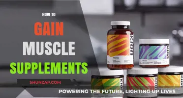 Effective Muscle-Building Supplements: Strategies for Optimal Growth and Strength