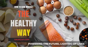 Healthy Muscle Building: Nutrition, Training, and Recovery Strategies