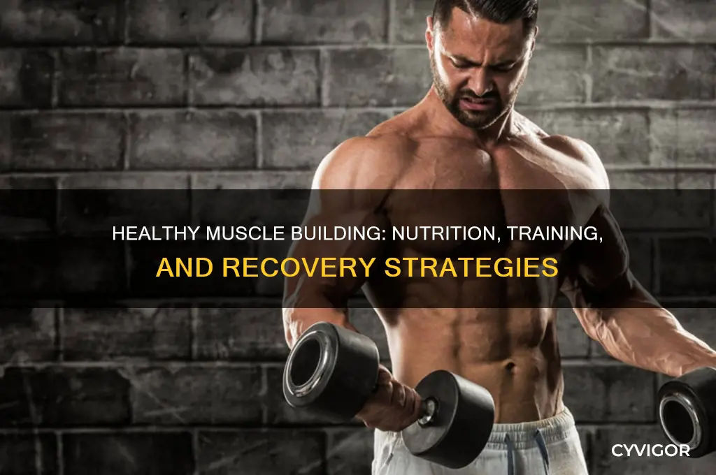 how to gain muscle the healthy way