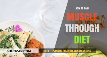 Fuel Your Gains: Diet Strategies for Building Muscle Effectively