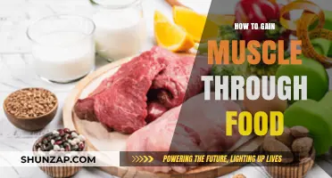 Fuel Your Gains: Muscle-Building Foods for Strength and Size