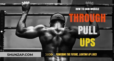 Master Pull-Ups: Effective Techniques to Build Muscle Fast
