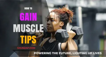 Effective Muscle Building Strategies for Strength and Size Gains