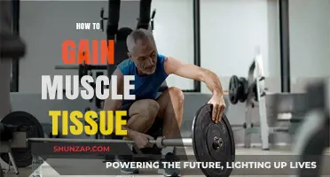 Effective Strategies for Building Muscle Tissue and Strength