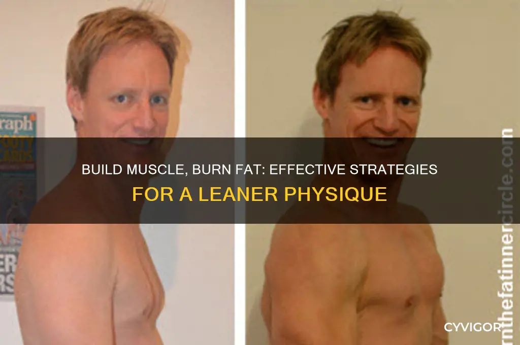 how to gain muscle to burn fat
