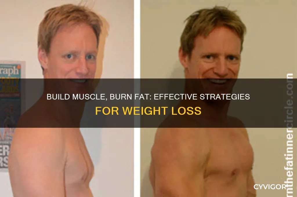 how to gain muscle to lose weight