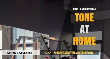 Effective Home Workouts for Building Muscle Tone and Strength