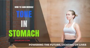 Sculpt Your Core: Effective Tips for Toned Stomach Muscles