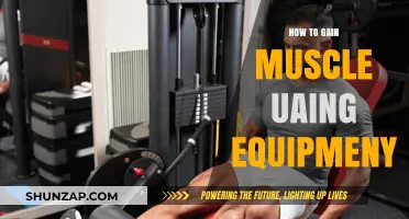 Effective Equipment Strategies for Building Muscle Mass and Strength