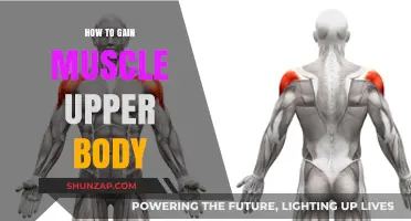 Effective Upper Body Muscle Building: Tips and Strategies for Strength
