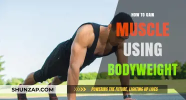 Build Strength and Muscle: Effective Bodyweight Training Techniques Revealed