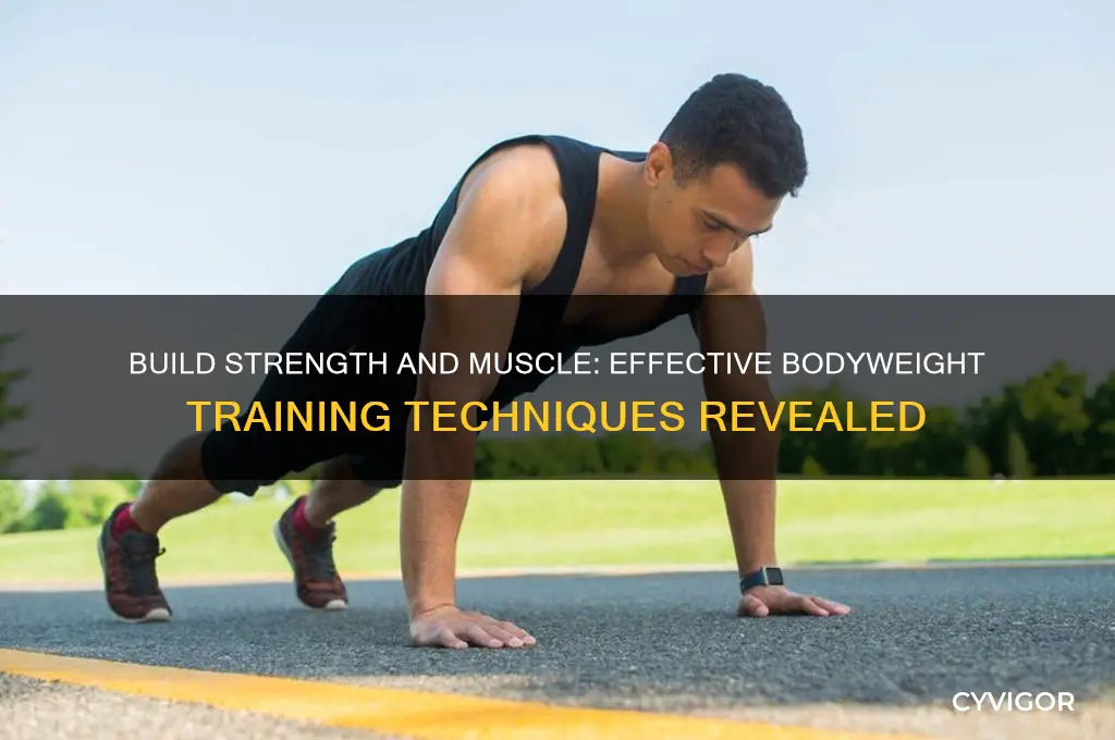 how to gain muscle using bodyweight