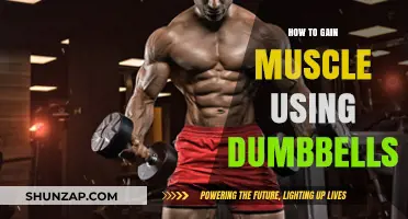 Effective Dumbbell Workouts for Building Muscle Mass and Strength