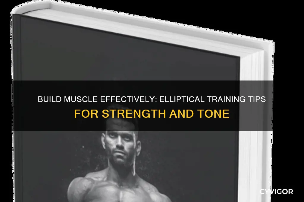 how to gain muscle using elliptical