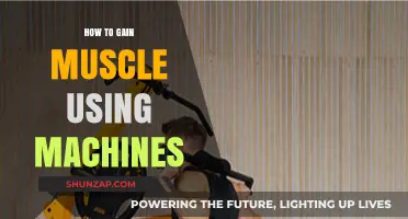 Effective Machine Workouts for Building Muscle Mass and Strength