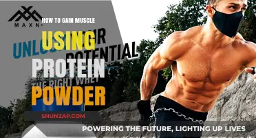 Maximize Muscle Growth: Effective Protein Powder Strategies for Strength Gains