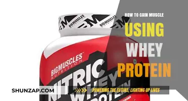 Maximize Muscle Growth: Effective Whey Protein Strategies for Strength Gains