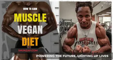 Vegan Muscle Building: Plant-Based Strategies for Strength and Growth