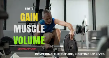 Effective Strategies for Building Muscle Volume and Strength Fast