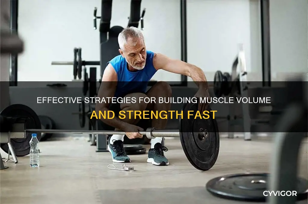 how to gain muscle volume