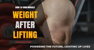 Effective Strategies for Building Muscle Mass Post-Workout