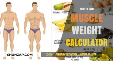 Effective Muscle Weight Gain Calculator: Tips and Strategies for Success