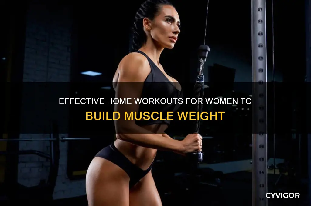 how to gain muscle weight female at home