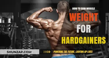 Effective Muscle-Building Strategies for Hardgainers to Pack on Mass