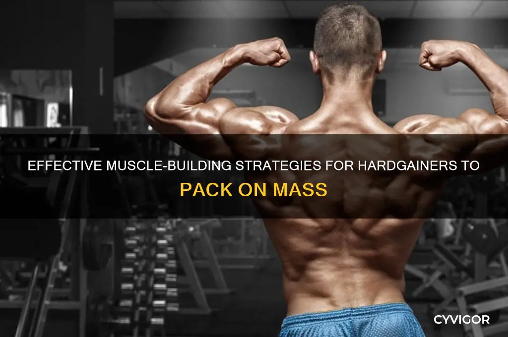 how to gain muscle weight for hardgainers
