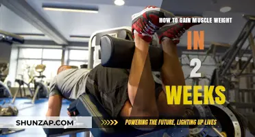 Quick Muscle Gain: 2-Week Strategies for Effective Weight Building