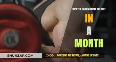 Effective Strategies to Gain Muscle Weight in Just One Month