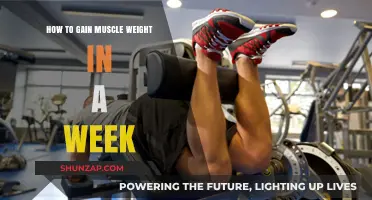 Quick Muscle Gain: Effective Strategies for Weekly Weight Increase