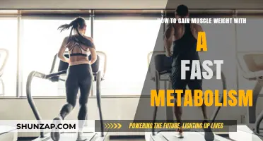 Maximize Muscle Gain: Strategies for Fast Metabolisms to Bulk Up