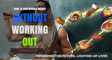 Gain Muscle Weight Effortlessly: Nutrition and Lifestyle Strategies Revealed
