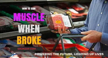 Budget-Friendly Muscle Building: Gain Strength Without Breaking the Bank