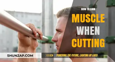 Cutting Without Losing Muscle: Strategies for Strength and Definition