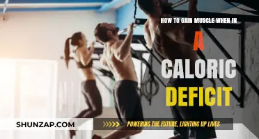Building Muscle in a Deficit: Strategies for Lean Gains