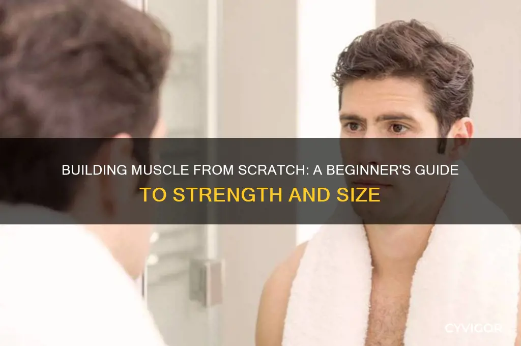 how to gain muscle when you have none