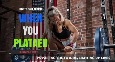 Break Through Your Plateau: Proven Strategies to Build Muscle Faster