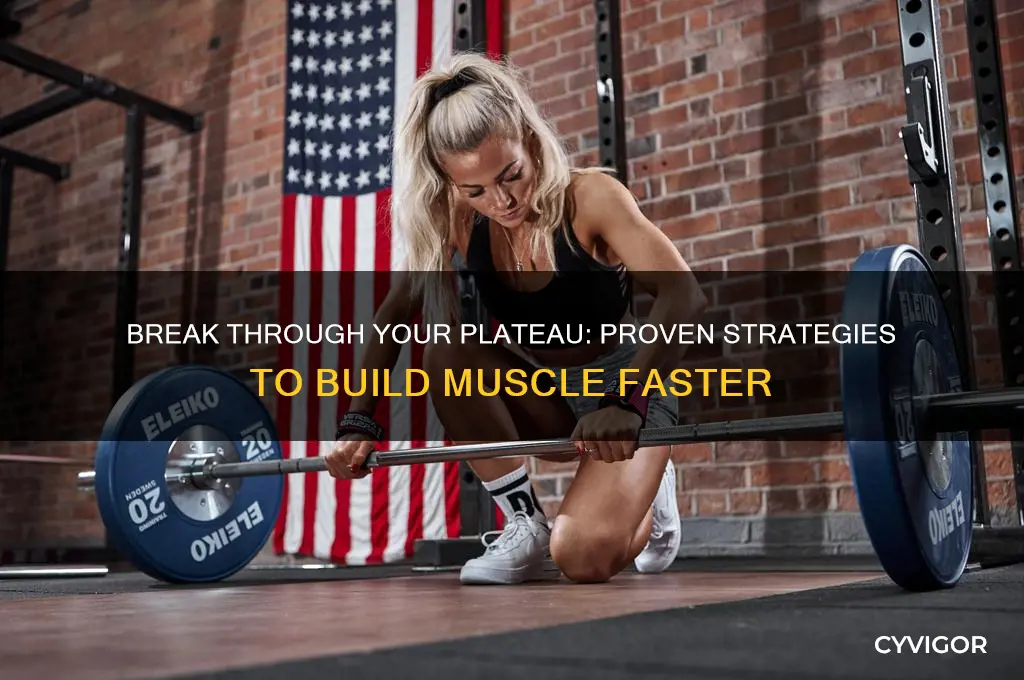 how to gain muscle when you plataeu