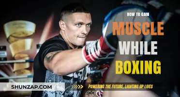 Boxing and Bulking: Strategies to Build Muscle While Training
