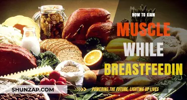 Muscle Building Tips for Breastfeeding Moms: Nutrition and Fitness Guide