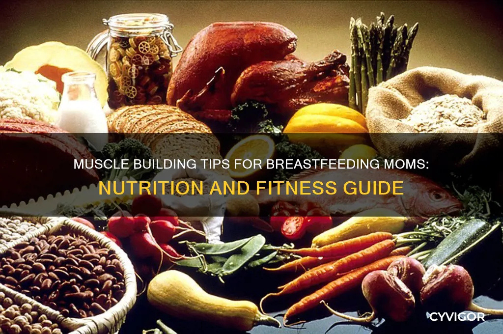 how to gain muscle while breastfeeding