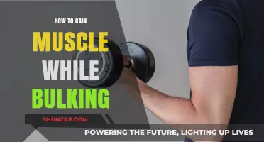 Effective Bulking Strategies for Muscle Gain and Strength Building