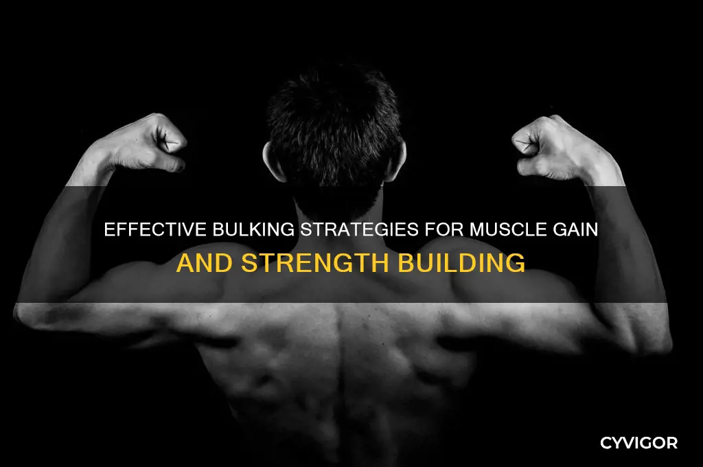 how to gain muscle while bulking