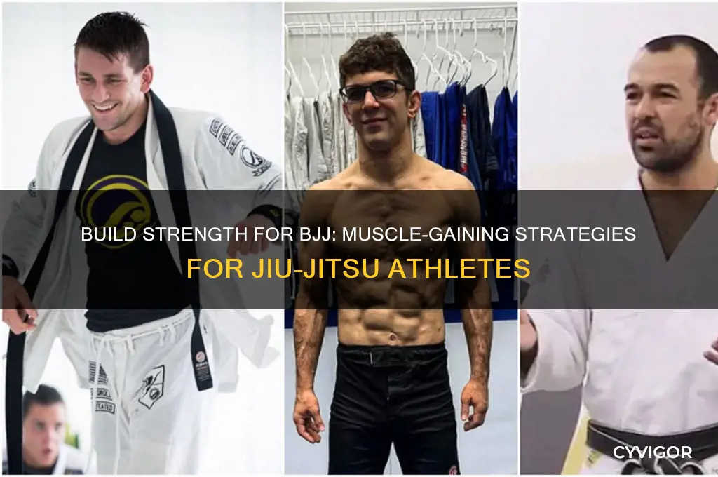 how to gain muscle while doing bjj