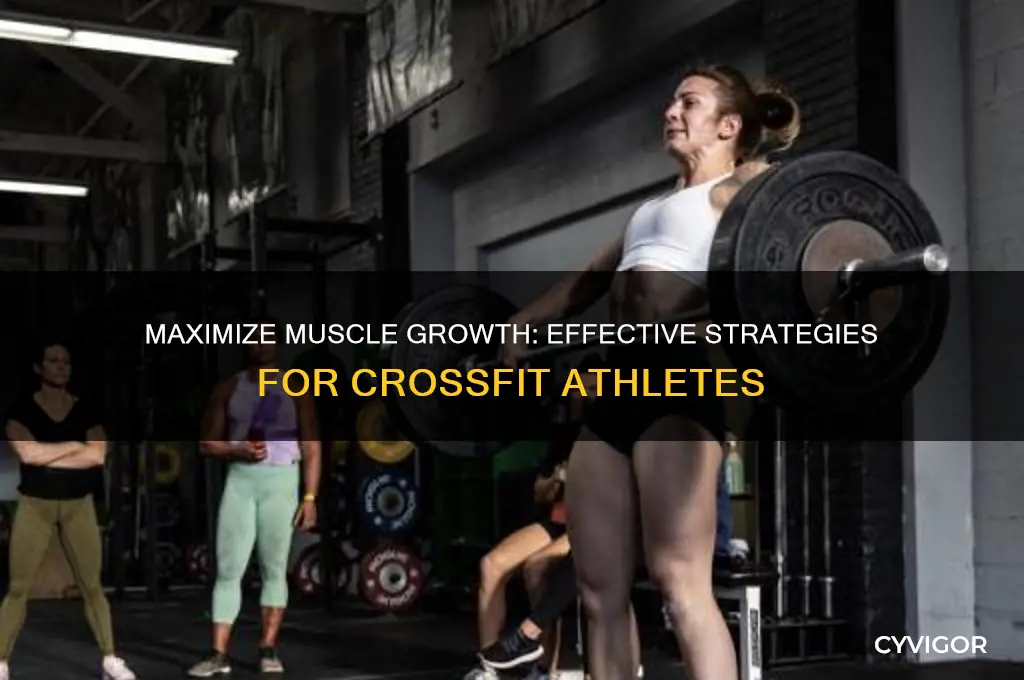 how to gain muscle while doing crossfit