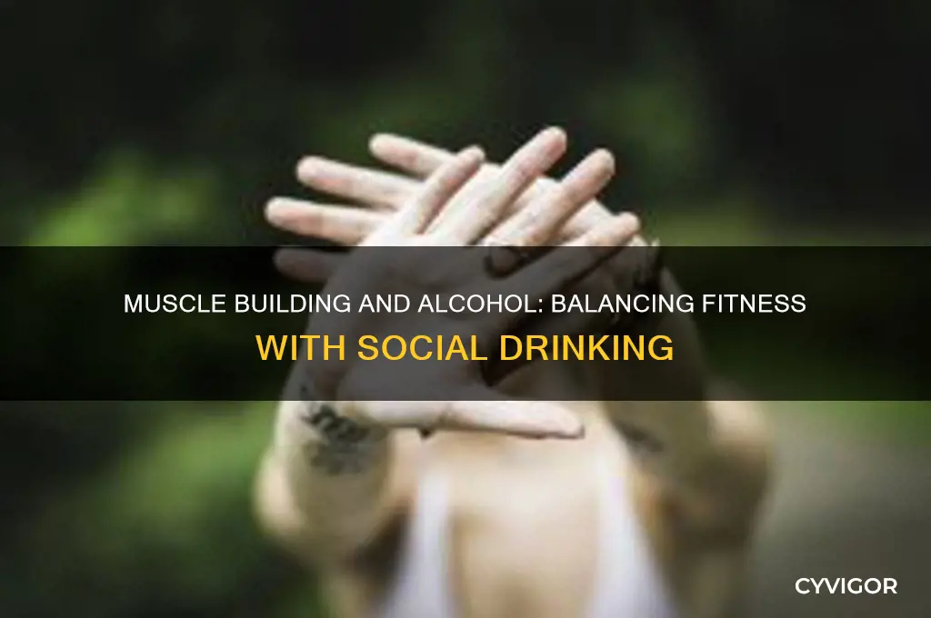 how to gain muscle while drinking
