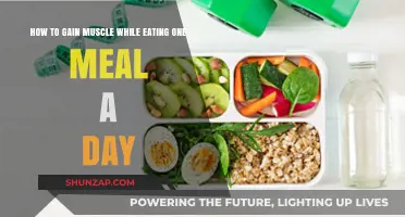 One Meal Muscle Gain: Maximizing Growth with OMAD Strategies